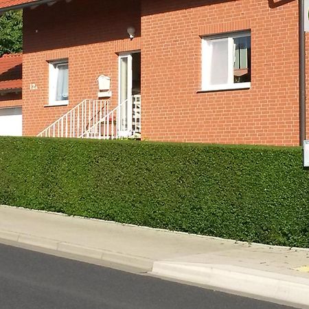 Apartment Mit Blick Auf Herkules Mit Parkplatz Kassel Exterior photo